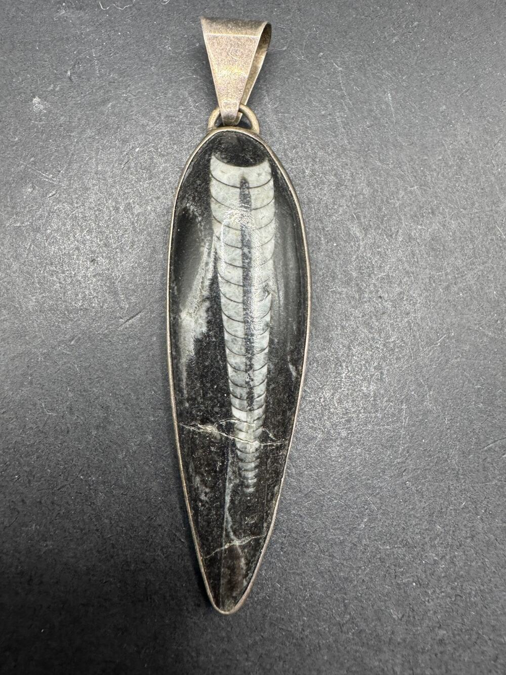Vintage Orthoceras Fossil Gemstone Handmade 925 Sterling Silver Pendant 68.2mm